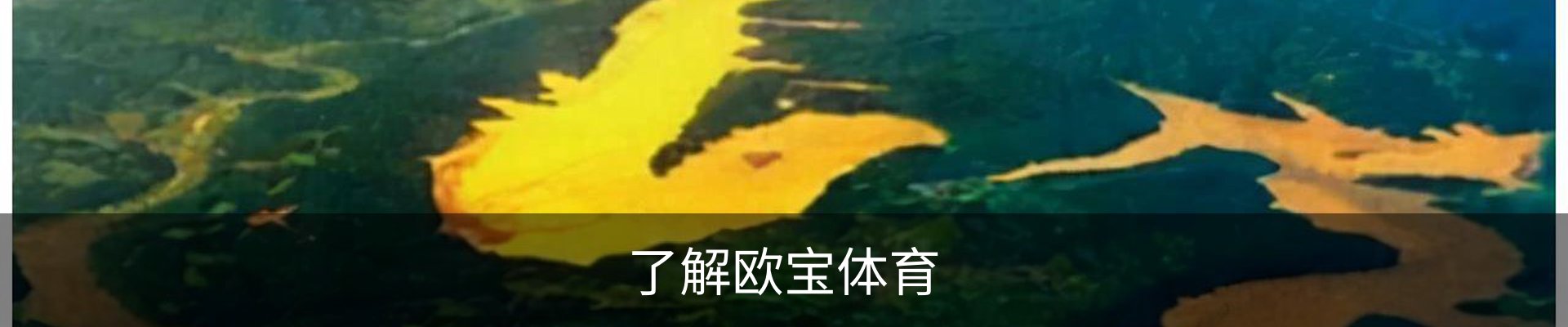 内页banner